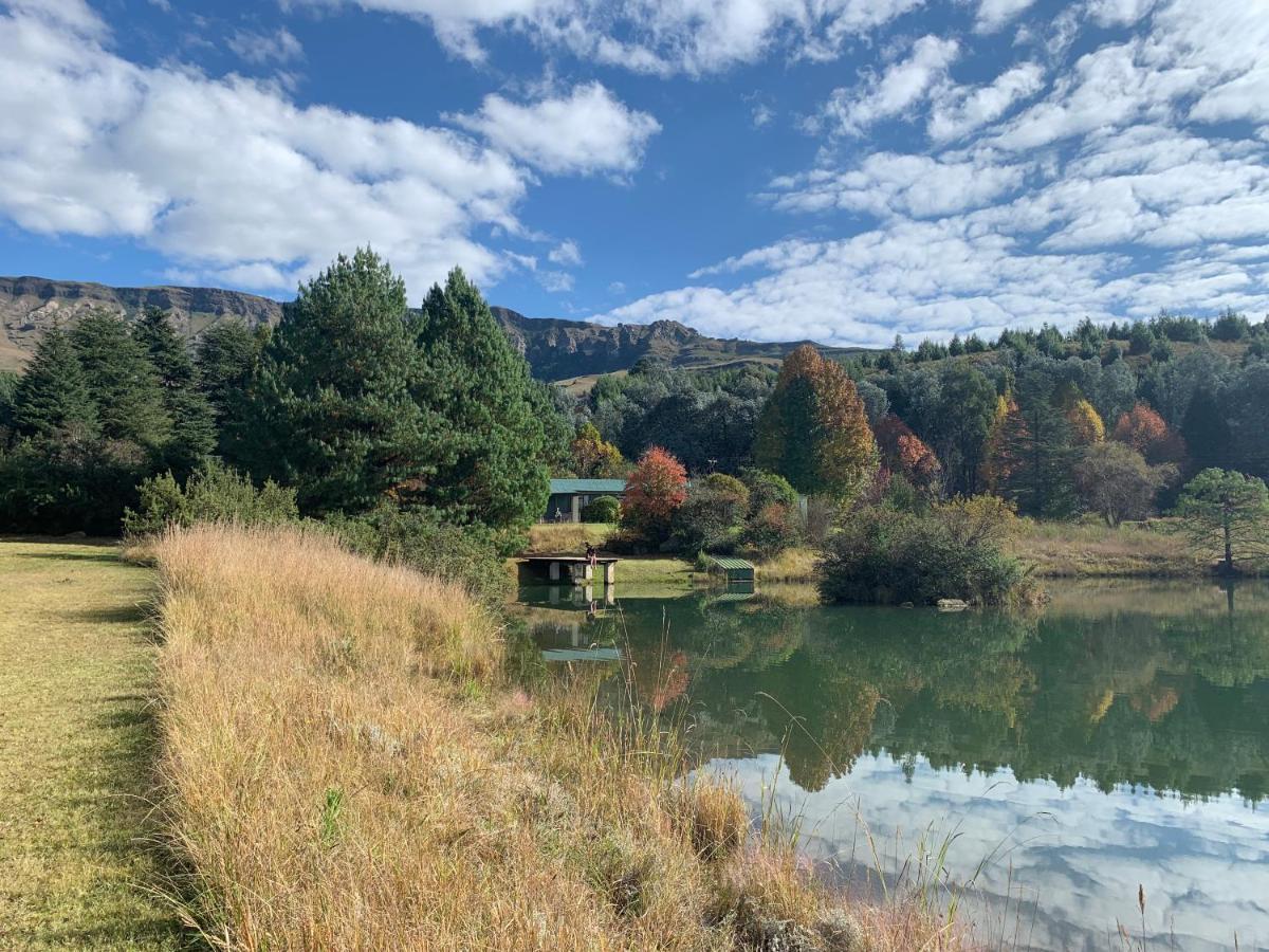 Brackenburn Trout And Trail Retreat Διαμέρισμα Elandskop Εξωτερικό φωτογραφία