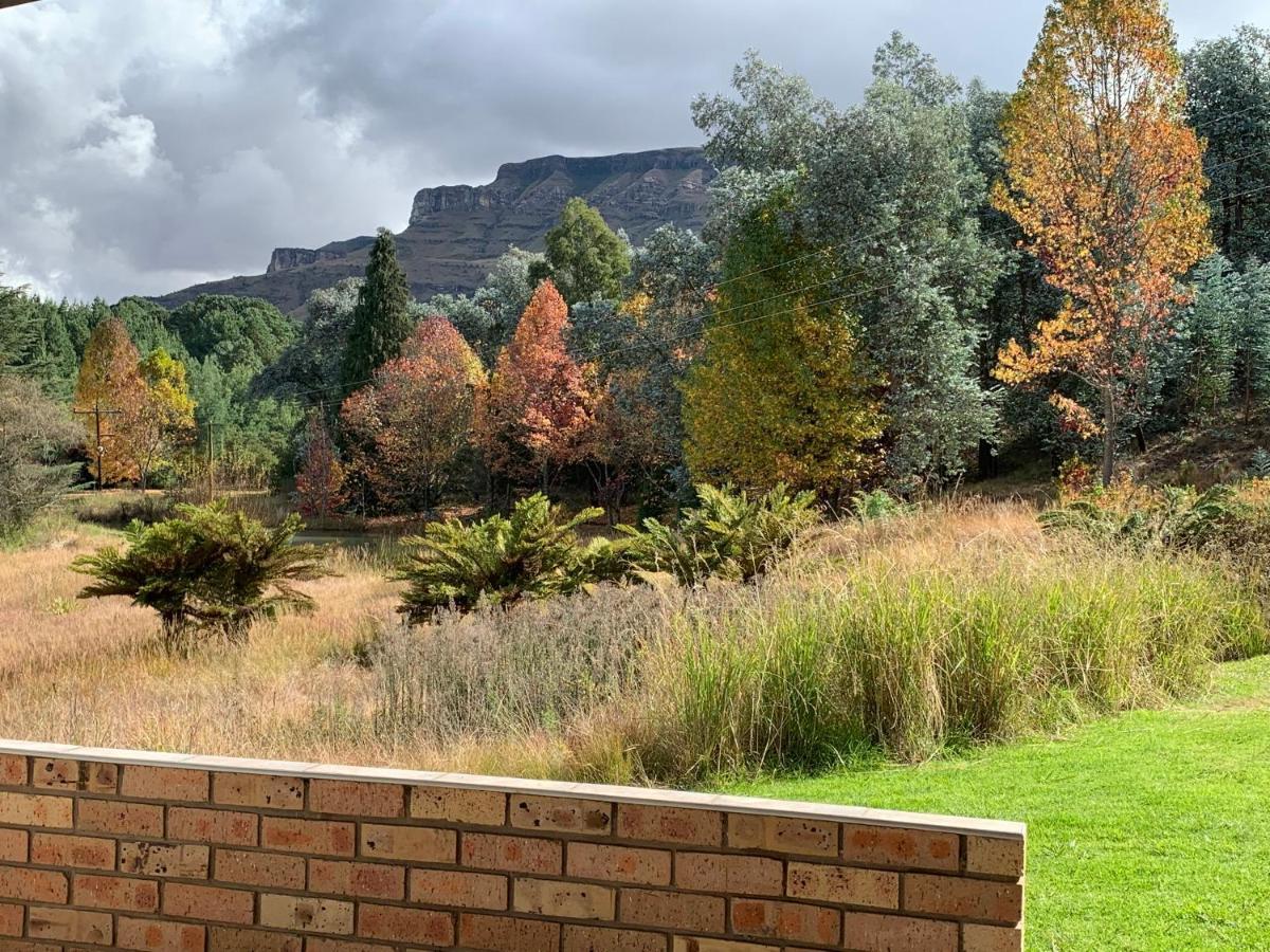 Brackenburn Trout And Trail Retreat Διαμέρισμα Elandskop Εξωτερικό φωτογραφία