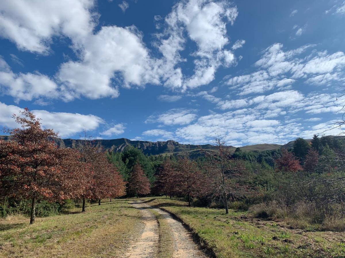 Brackenburn Trout And Trail Retreat Διαμέρισμα Elandskop Εξωτερικό φωτογραφία