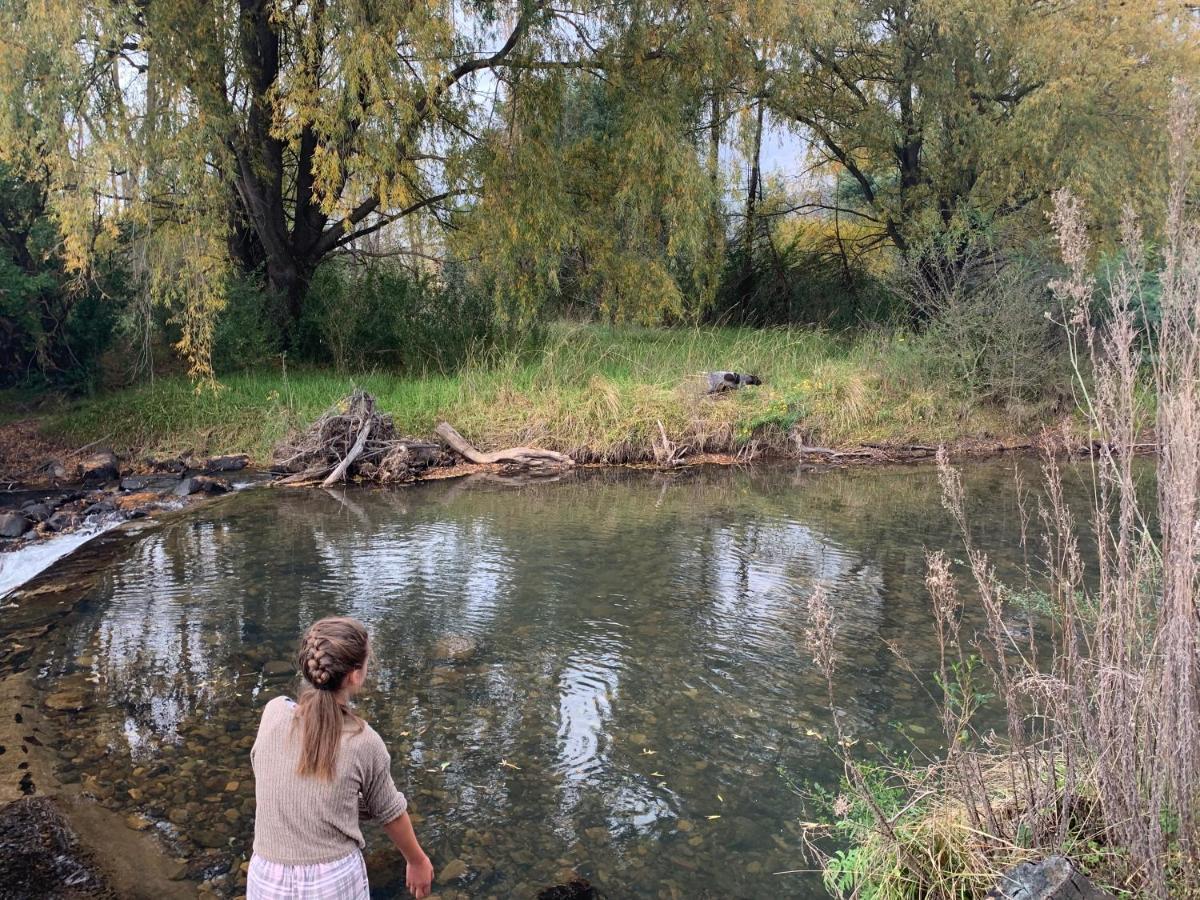 Brackenburn Trout And Trail Retreat Διαμέρισμα Elandskop Εξωτερικό φωτογραφία