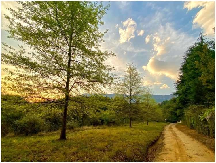 Brackenburn Trout And Trail Retreat Διαμέρισμα Elandskop Εξωτερικό φωτογραφία